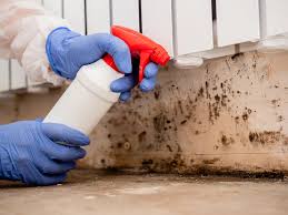 Best Indoor Air Quality Assessment  in Mckee City, NJ